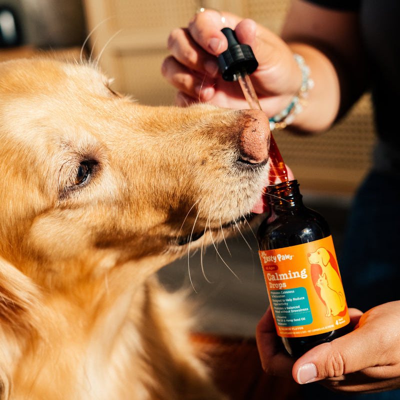 Meet Our New Calming Drops